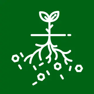 Enhance soil vitality - Grower Needs