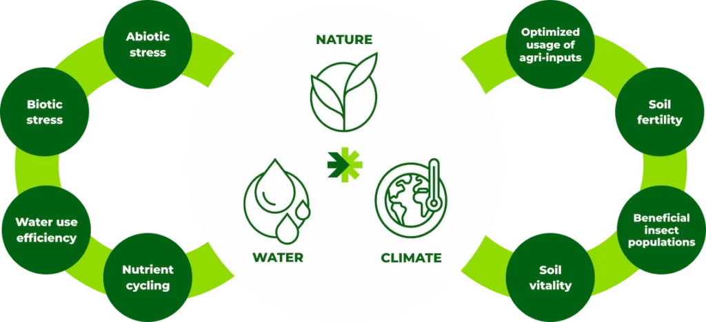 Our biosolutions are based on 8 sustainability challenges and 3 sustainable pillars.