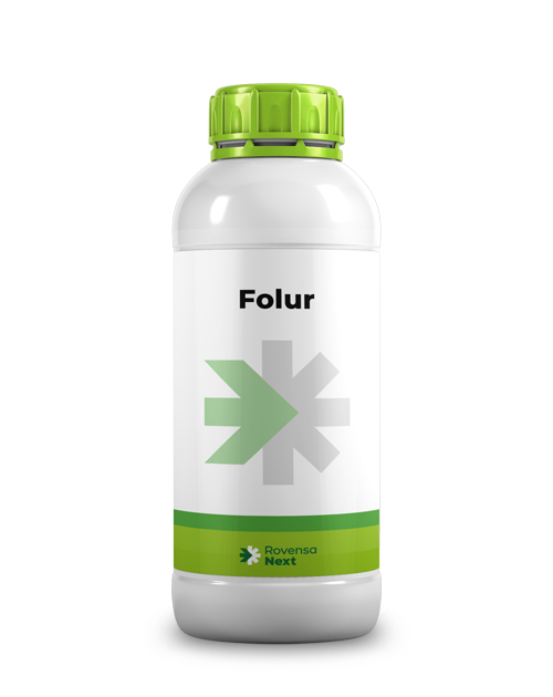 Folur-1-L