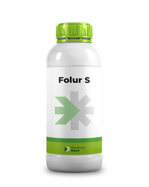 Folur-S-1-L