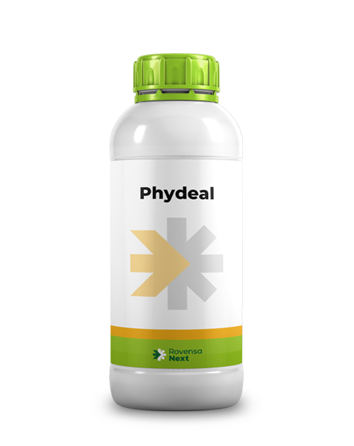Phydeal-1-L