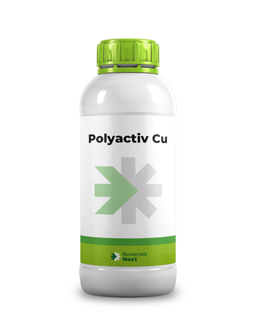 Polyactiv-Cu-1-L