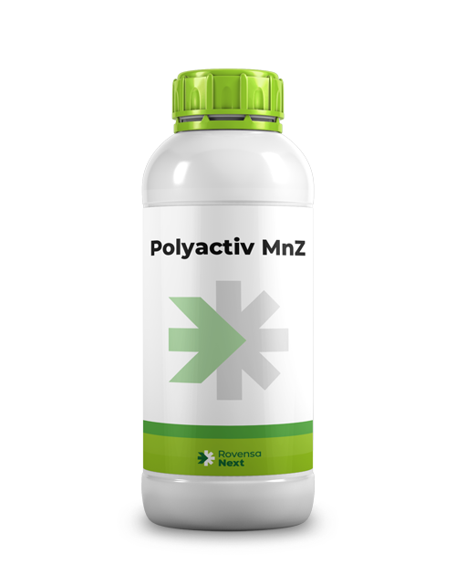 Polyactiv-MnZ-1-L
