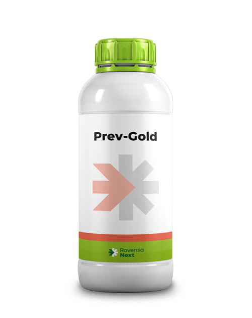 Prev-Gold-GB-1-L